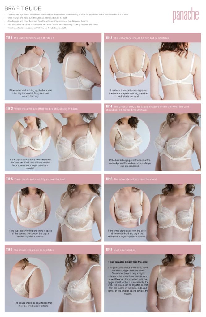 Panache eight-point bra fit guide